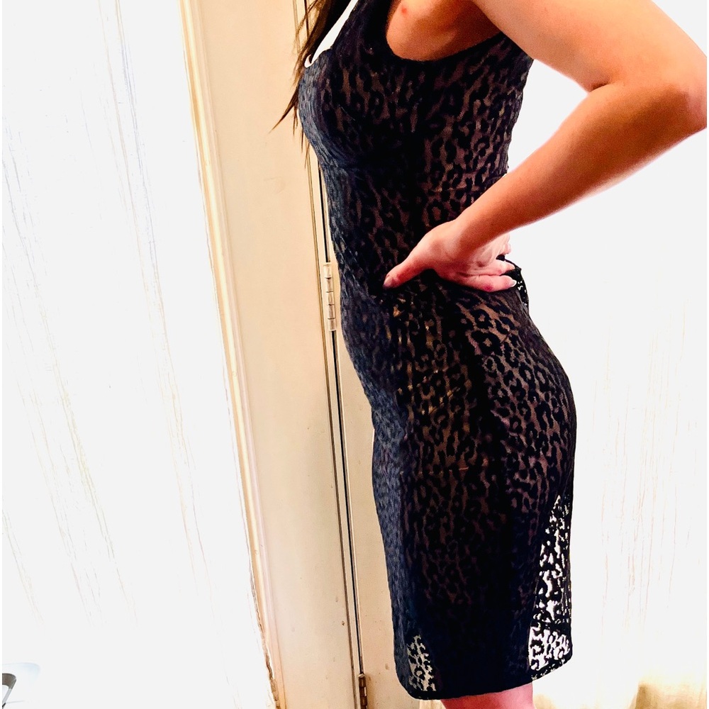LBD MODA INTERNATIONAL